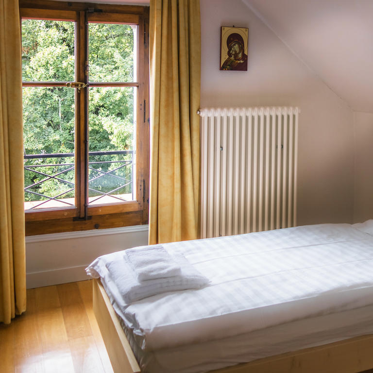 Chateau De Bossey Bogis-Bossey Ruang foto