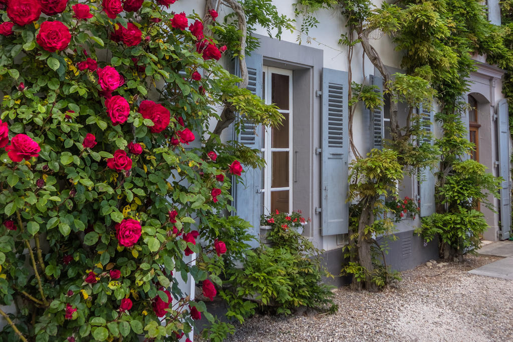 Chateau De Bossey Bogis-Bossey Bagian luar foto