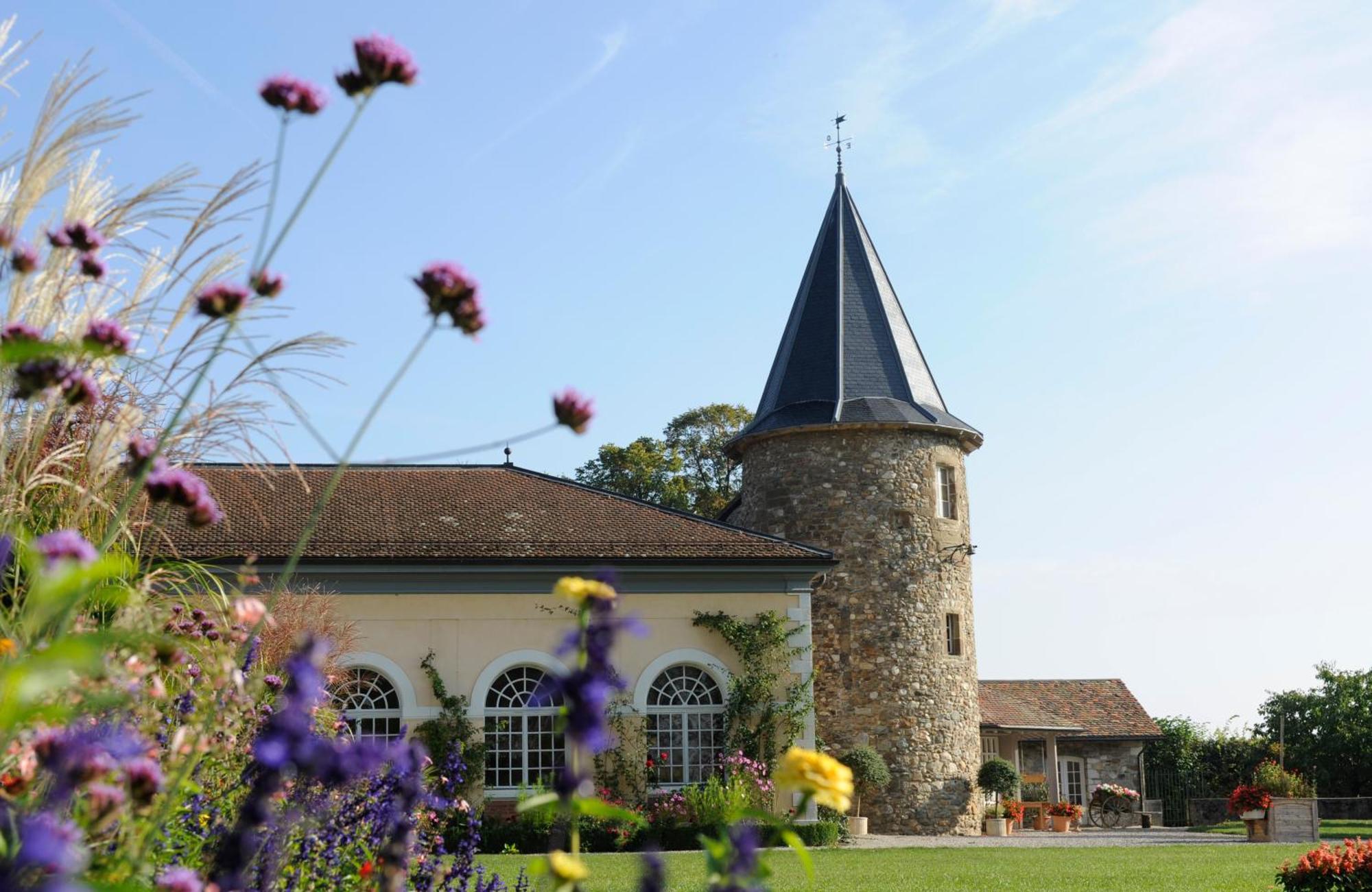 Chateau De Bossey Bogis-Bossey Bagian luar foto