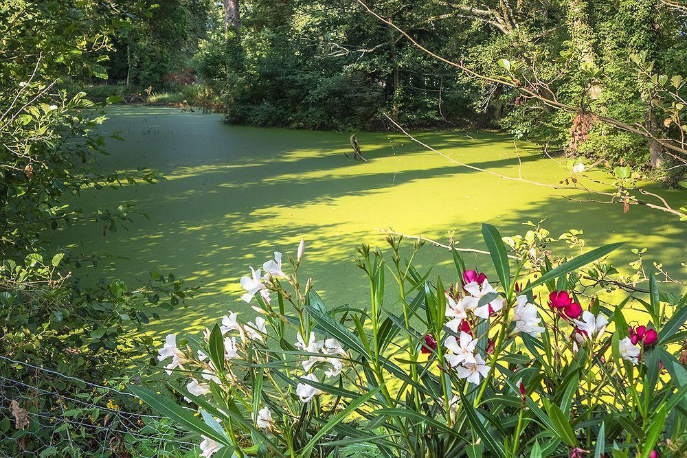 Chateau De Bossey Bogis-Bossey Bagian luar foto