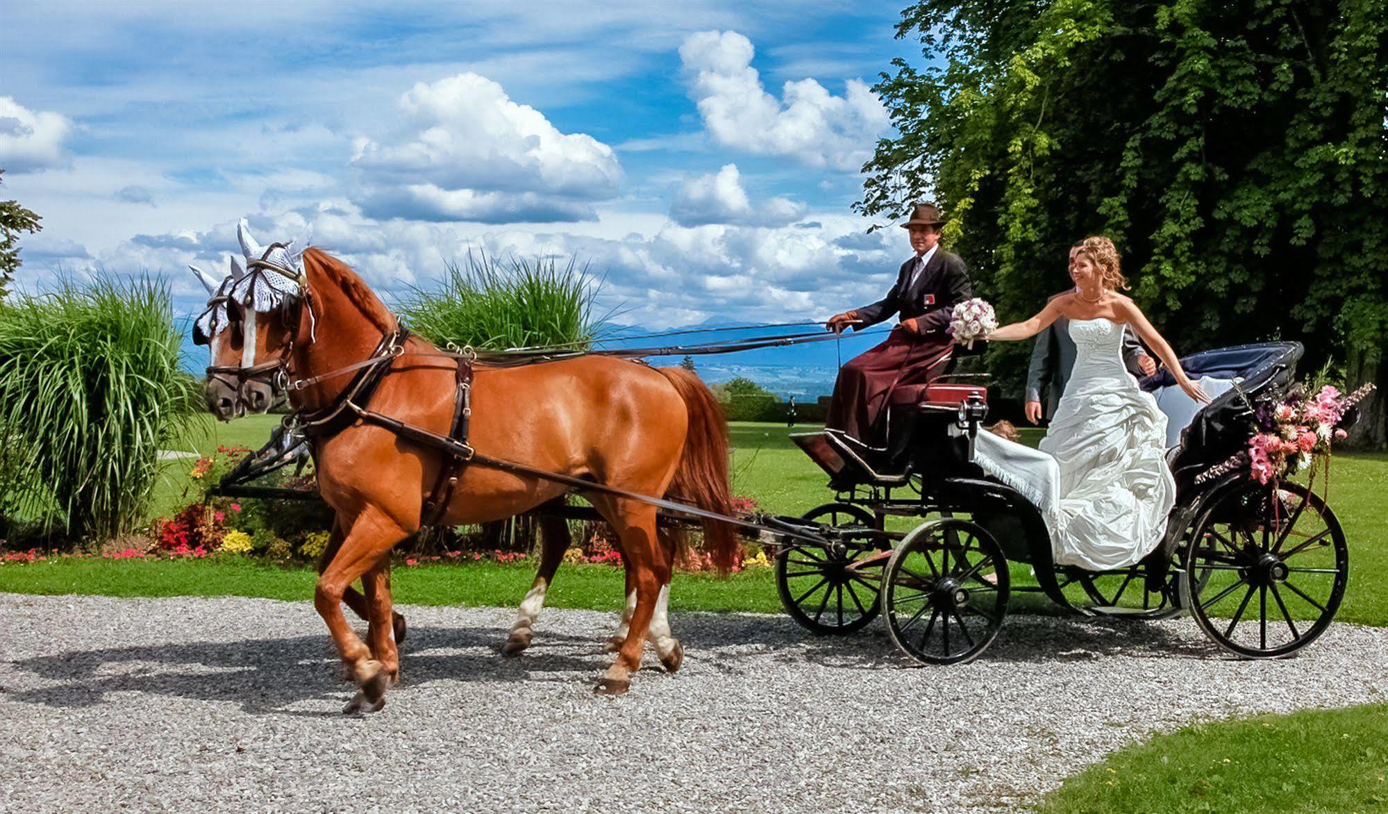 Chateau De Bossey Bogis-Bossey Bagian luar foto