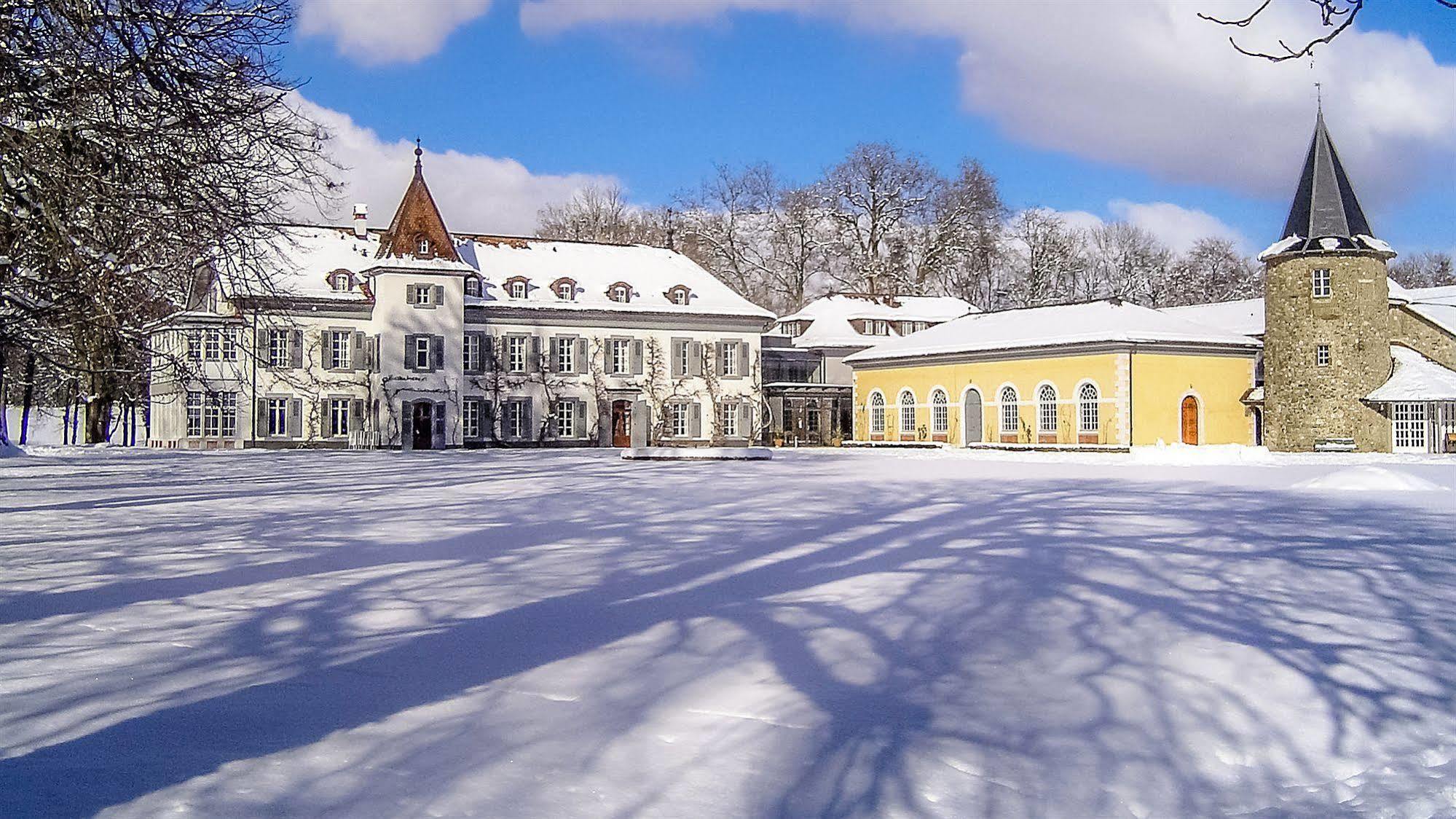 Chateau De Bossey Bogis-Bossey Bagian luar foto